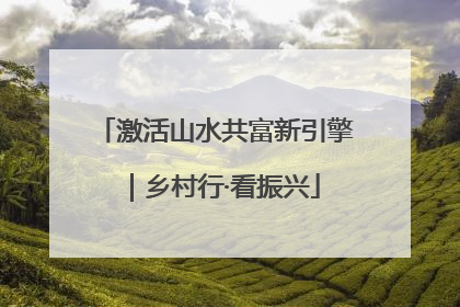 激活山水共富新引擎｜乡村行·看振兴