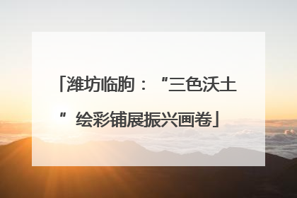 潍坊临朐：“三色沃土”绘彩铺展振兴画卷