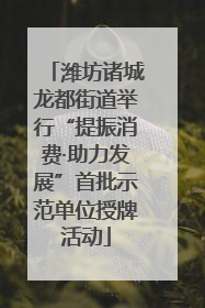 潍坊诸城龙都街道举行“提振消费·助力发展”首批示范单位授牌活动