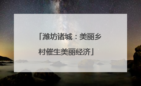 潍坊诸城：美丽乡村催生美丽经济