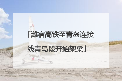 潍宿高铁至青岛连接线青岛段开始架梁