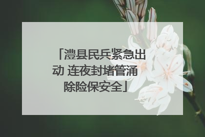 澧县民兵紧急出动 连夜封堵管涌除险保安全