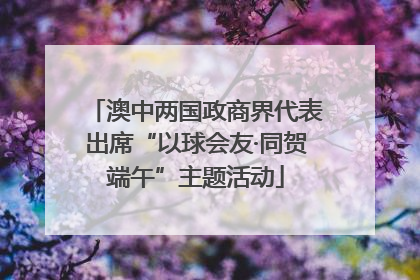 澳中两国政商界代表出席“以球会友·同贺端午”主题活动