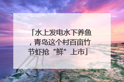 水上发电水下养鱼，青岛这个村百亩竹节虾抢“鲜”上市