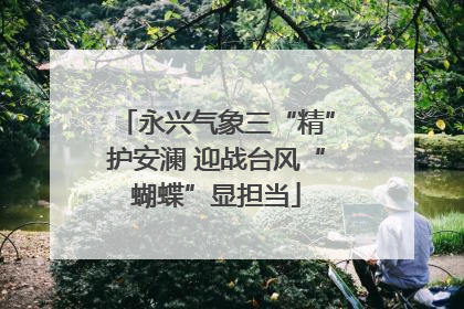 永兴气象三“精”护安澜 迎战台风“蝴蝶”显担当