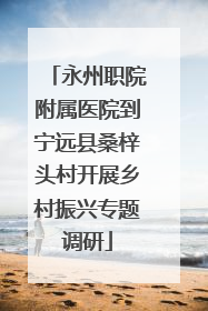 永州职院附属医院到宁远县桑梓头村开展乡村振兴专题调研