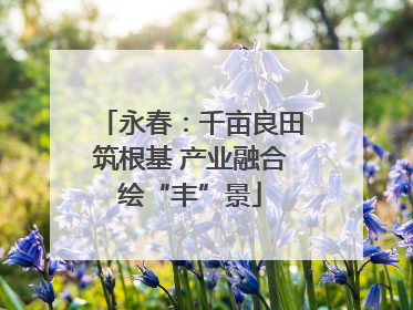 永春：千亩良田筑根基 产业融合绘“丰”景