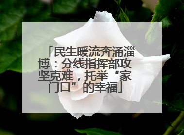 民生暖流奔涌淄博：分线指挥部攻坚克难，托举“家门口”的幸福