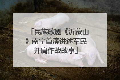 民族歌剧《沂蒙山》南宁首演讲述军民并肩作战故事