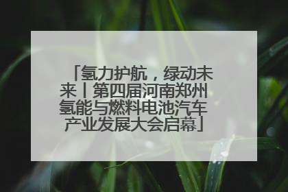 氢力护航，绿动未来丨第四届河南郑州氢能与燃料电池汽车产业发展大会启幕