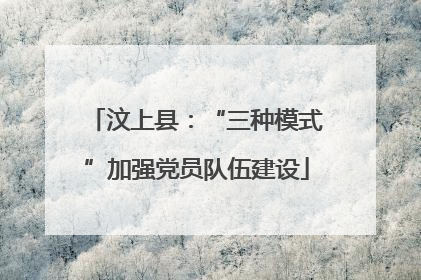 汶上县：“三种模式”加强党员队伍建设