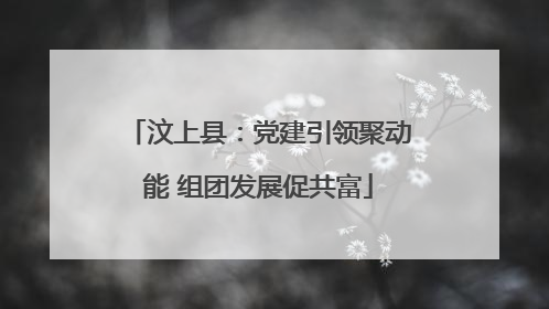 汶上县：党建引领聚动能 组团发展促共富