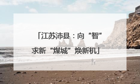江苏沛县：向“智”求新“煤城”焕新机