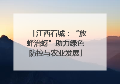 江西石城：“放蜂治蚜”助力绿色防控与农业发展