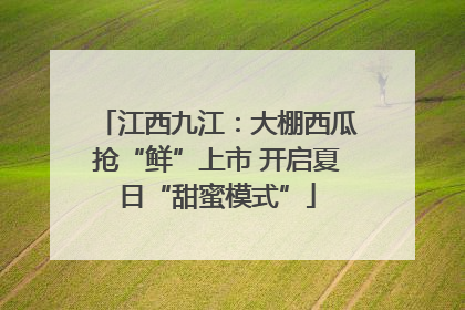 江西九江：大棚西瓜抢“鲜”上市 开启夏日“甜蜜模式”
