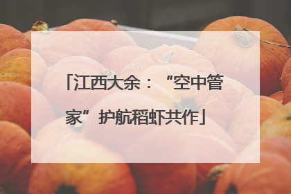 江西大余：“空中管家”护航稻虾共作