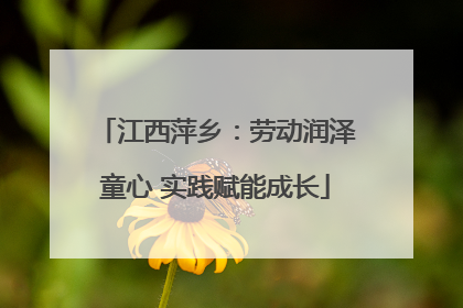 江西萍乡：劳动润泽童心 实践赋能成长