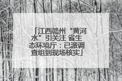 江西赣州“黄河水”引关注 省生态环境厅：已派调查组到现场核实