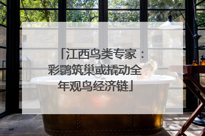 江西鸟类专家：彩鹮筑巢或撬动全年观鸟经济链