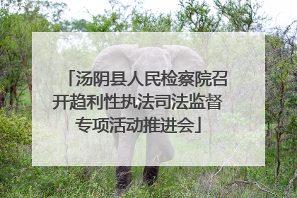 汤阴县人民检察院召开趋利性执法司法监督专项活动推进会