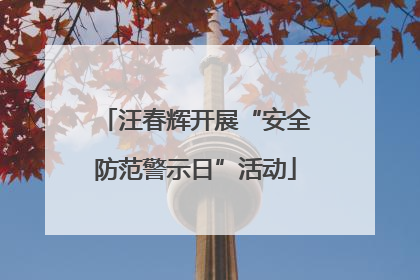 汪春辉开展“安全防范警示日”活动