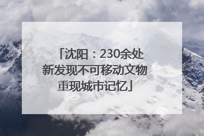 沈阳：230余处新发现不可移动文物重现城市记忆
