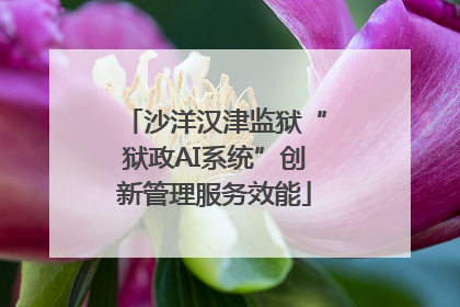 沙洋汉津监狱“狱政AI系统”创新管理服务效能