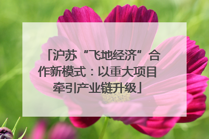 沪苏“飞地经济”合作新模式：以重大项目牵引产业链升级