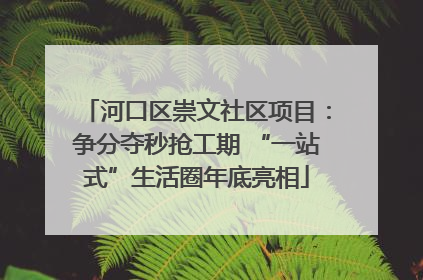 河口区崇文社区项目：争分夺秒抢工期 “一站式”生活圈年底亮相