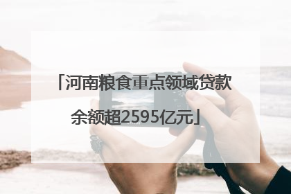 河南粮食重点领域贷款余额超2595亿元