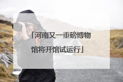 河南又一重磅博物馆将开馆试运行