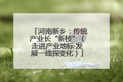 河南新乡：传统产业长“新枝”（走进产业地标·发展一线探变化）