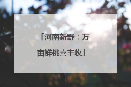 河南新野：万亩鲜桃喜丰收