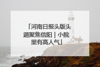 河南日报头版头题聚焦信阳｜小院里有高人气
