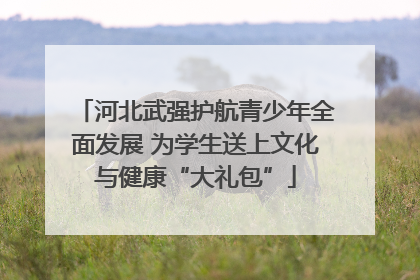 河北武强护航青少年全面发展 为学生送上文化与健康“大礼包”