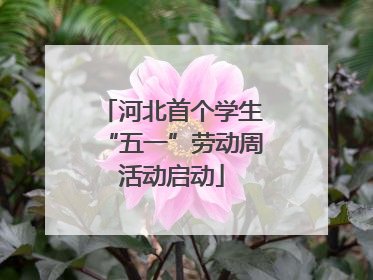 河北首个学生“五一”劳动周活动启动