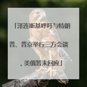 泽连斯基呼吁与特朗普、普京举行三方会谈，美俄暂未回应