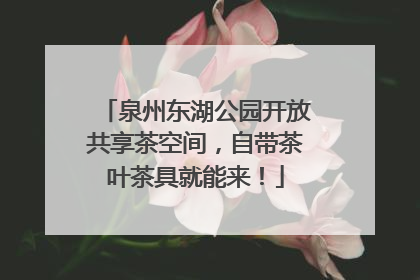 泉州东湖公园开放共享茶空间，自带茶叶茶具就能来！