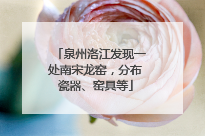 泉州洛江发现一处南宋龙窑，分布瓷器、窑具等