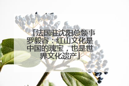 法国驻沈阳总领事罗毅睿：红山文化是中国的瑰宝，也是世界文化遗产