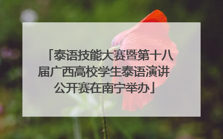 泰语技能大赛暨第十八届广西高校学生泰语演讲公开赛在南宁举办