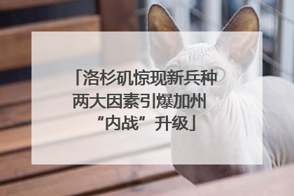 洛杉矶惊现新兵种 两大因素引爆加州“内战”升级