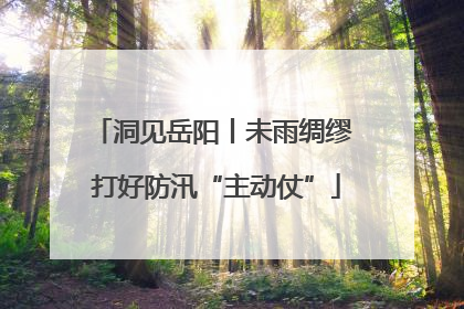 洞见岳阳丨未雨绸缪 打好防汛“主动仗”