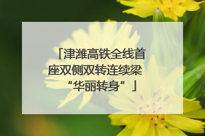 津潍高铁全线首座双侧双转连续梁“华丽转身”