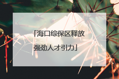 海口综保区释放强劲人才引力