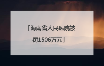 海南省人民医院被罚1506万元