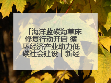 海洋蓝碳海草床修复行动开启 循环经济产业助力低碳社会建设丨新经济观察