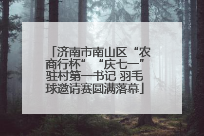 济南市南山区“农商行杯”“庆七一”驻村第一书记 羽毛球邀请赛圆满落幕