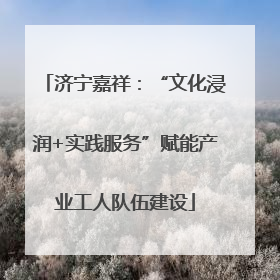 济宁嘉祥：“文化浸润+实践服务”赋能产业工人队伍建设