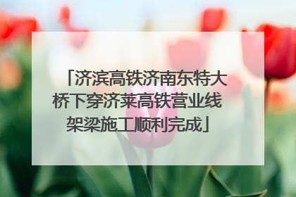 济滨高铁济南东特大桥下穿济莱高铁营业线架梁施工顺利完成